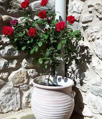 Affittacamere Arxontiko Taygeti Mystras